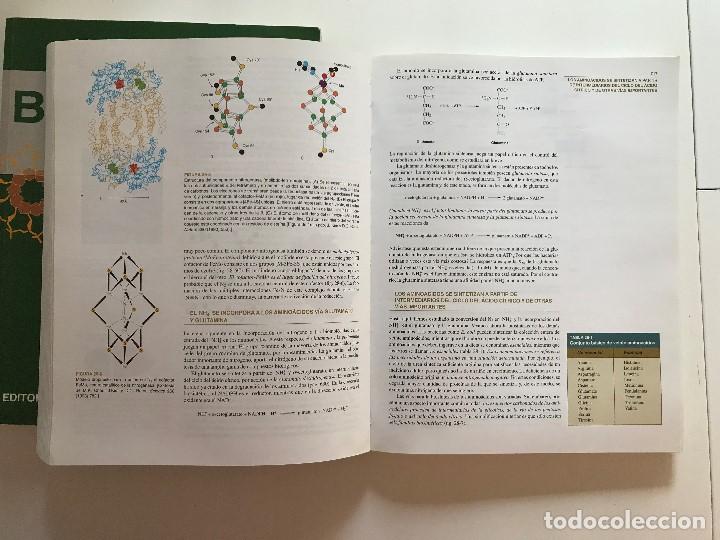 Libros de segunda mano: Bioqu&iacute;mica - Foto 6