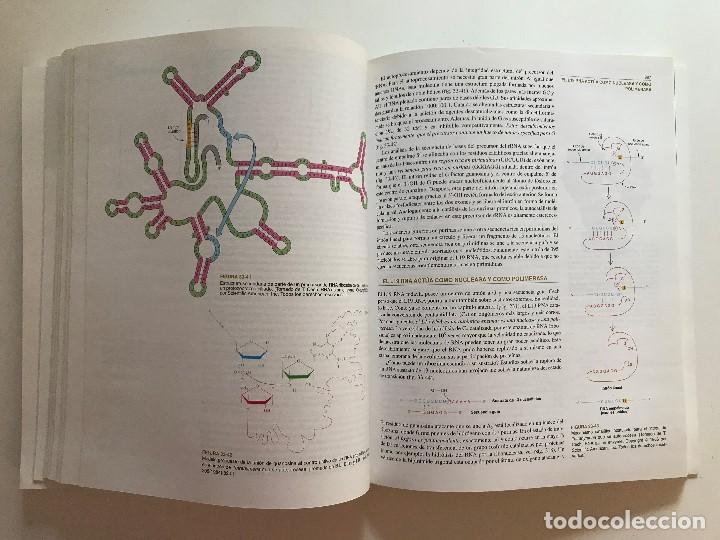Libros de segunda mano: Bioqu&iacute;mica - Foto 7