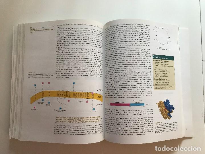 Libros de segunda mano: Bioqu&iacute;mica - Foto 8