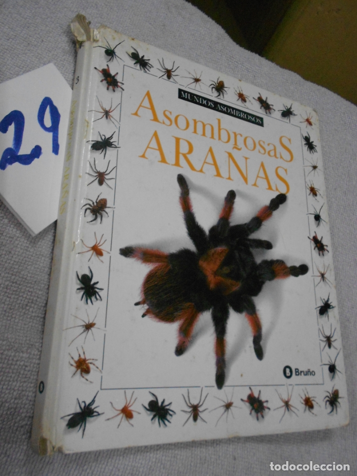 Libros de segunda mano: ASOMBROSAS ARA&Ntilde;AS - Foto 1