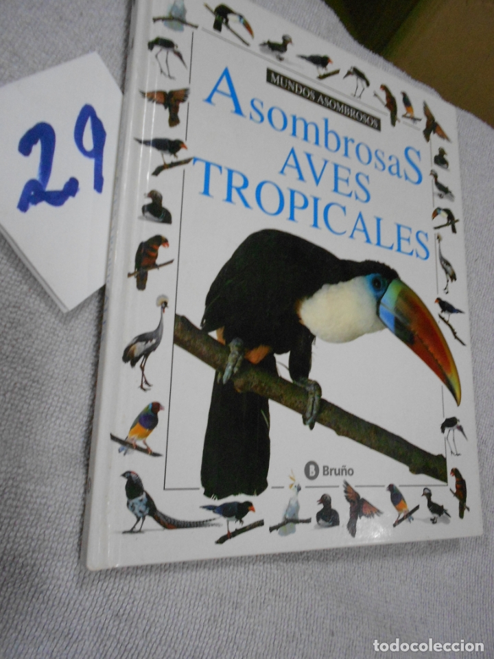 Libros de segunda mano: ASOMBROSAS AVES TROPICALES - Foto 1