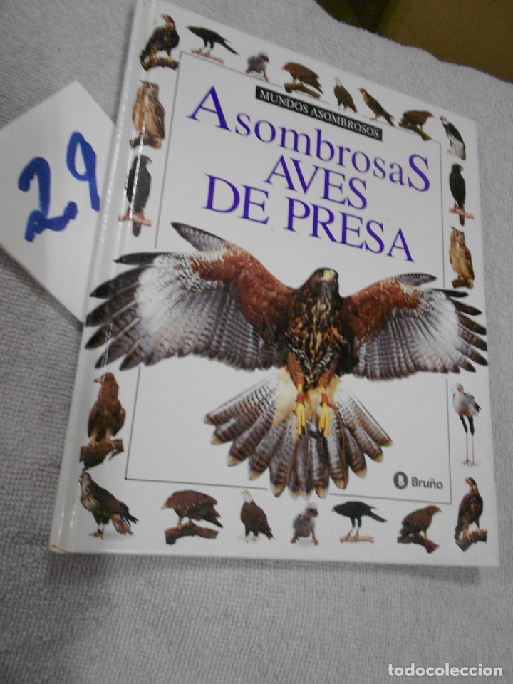 Libros de segunda mano: ASOMBROSAS AVES DE PRESA - Foto 1