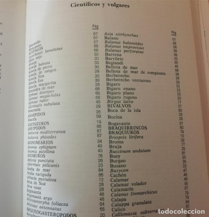 Libros de segunda mano: Los mariscos, Roberto Lotina Benguria - Foto 2