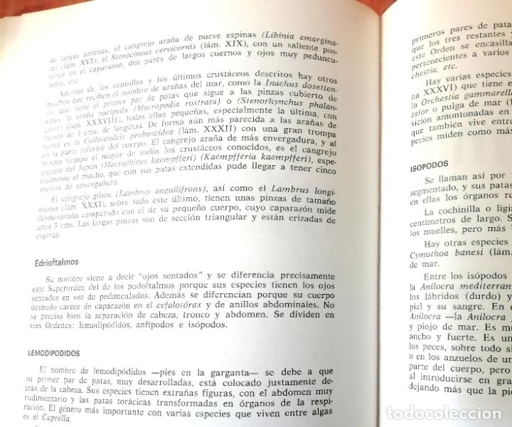 Libros de segunda mano: Los mariscos, Roberto Lotina Benguria - Foto 4