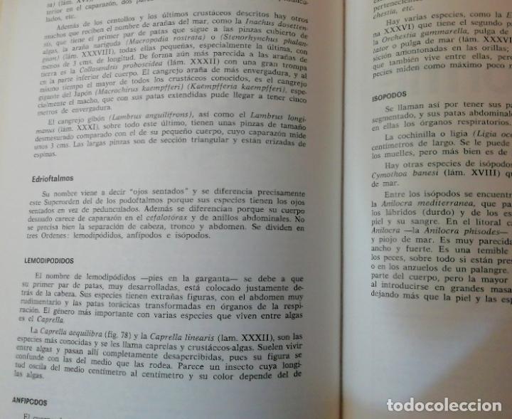 Libros de segunda mano: Los mariscos, Roberto Lotina Benguria - Foto 5
