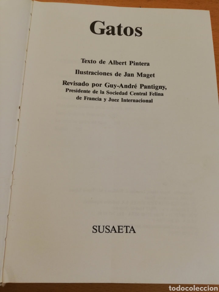 Libros de segunda mano: GATOS (TEXTO DE ALBERT PINTERA; ILUSTRACIONES DE JAN MAGET) - Foto 2
