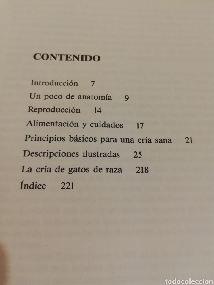 Libros de segunda mano: GATOS (TEXTO DE ALBERT PINTERA; ILUSTRACIONES DE JAN MAGET) - Foto 3