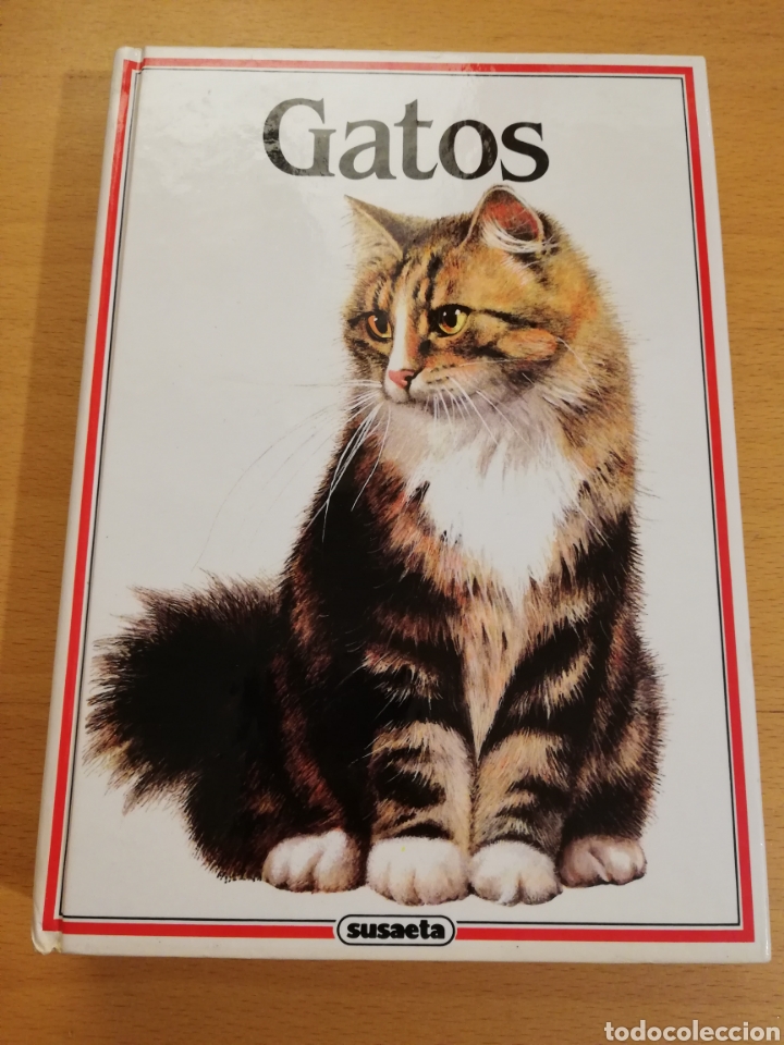 Libros de segunda mano: GATOS (TEXTO DE ALBERT PINTERA; ILUSTRACIONES DE JAN MAGET) - Foto 1