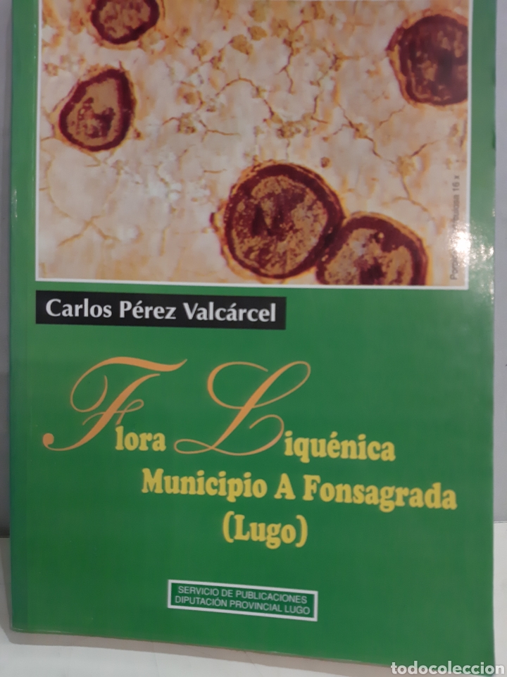 Libri di seconda mano: Flora Liquenica Municipio Fonsagrada Lugo Carlos P&eacute;rez Varcalcel