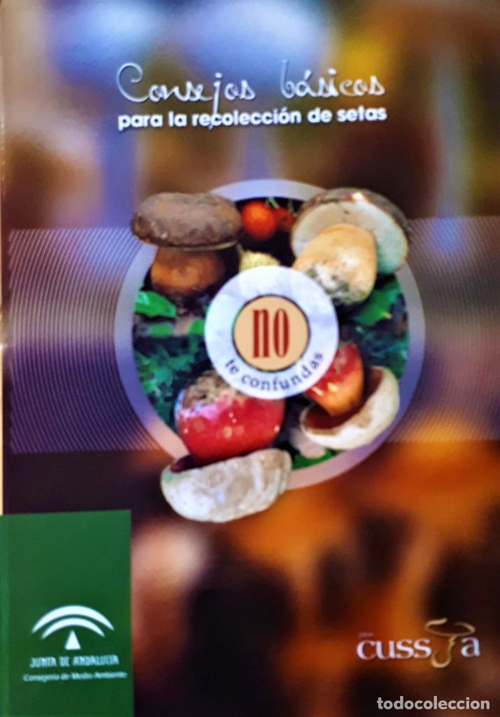Libros de segunda mano: CONSEJOS B&Aacute;SICOS PARA LA RECOLECCI&Oacute;N DE SETAS. - Foto 1
