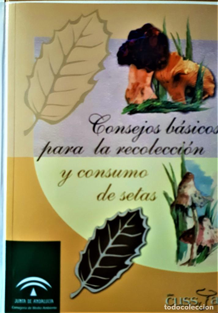 Libros de segunda mano: CONSEJOS B&Aacute;SICOS PARA LA RECOLECCI&Oacute;N DE SETAS. - Foto 3