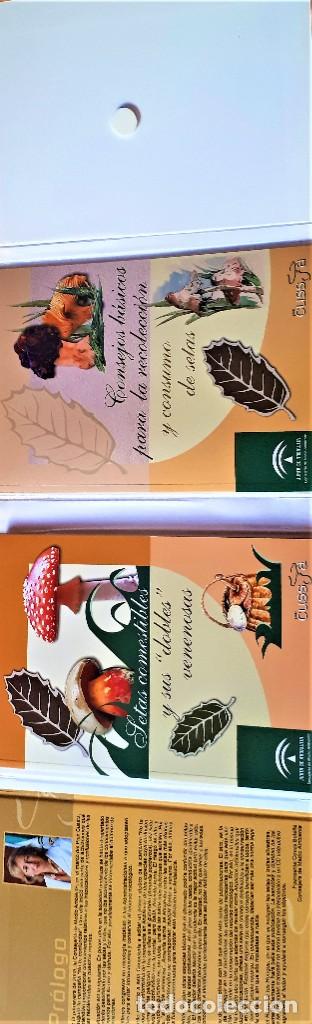 Libros de segunda mano: CONSEJOS B&Aacute;SICOS PARA LA RECOLECCI&Oacute;N DE SETAS. - Foto 4