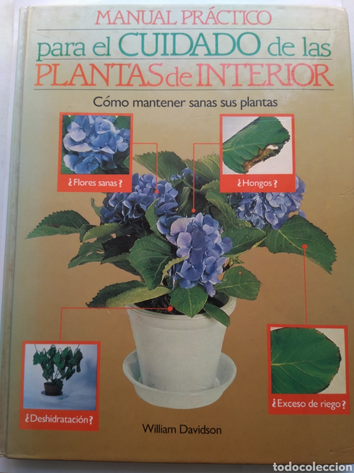 Libros de segunda mano: MANUAL PR&Aacute;CTICO PARA EL CUIDADO DE LAS PLANTAS DE INTERIOR - Foto 1
