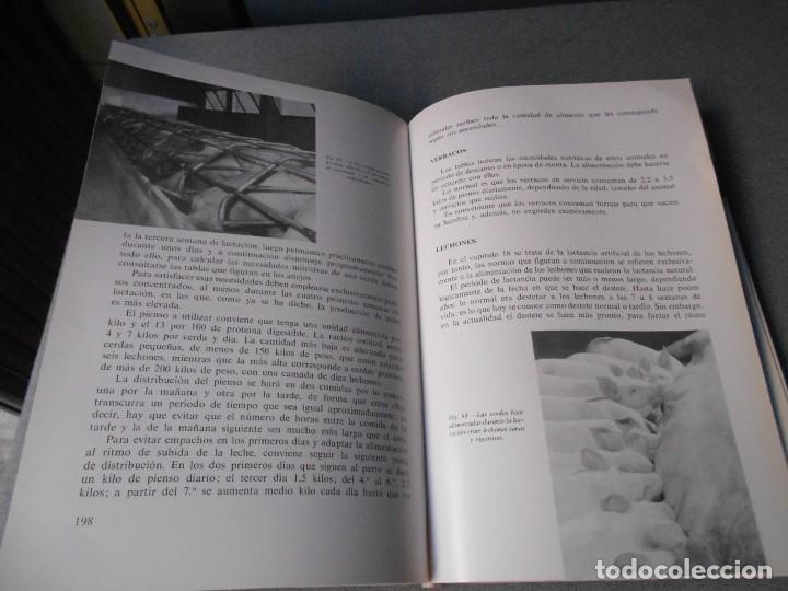 Libros de segunda mano: MANUAL DE NUTRICION Y ALIMENTACION DEL GANADO - Foto 3