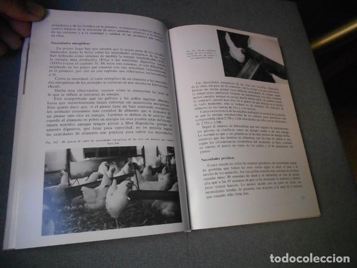 Libros de segunda mano: MANUAL DE NUTRICION Y ALIMENTACION DEL GANADO - Foto 4