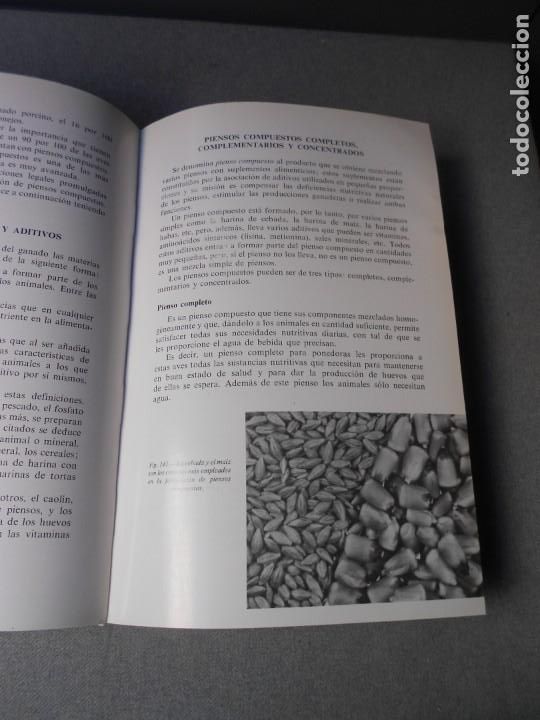 Libros de segunda mano: MANUAL DE NUTRICION Y ALIMENTACION DEL GANADO - Foto 5
