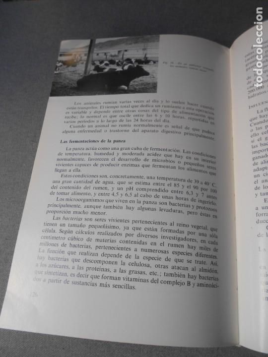 Libros de segunda mano: MANUAL DE NUTRICION Y ALIMENTACION DEL GANADO - Foto 7