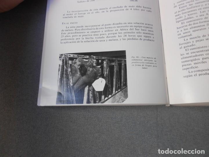 Libros de segunda mano: MANUAL DE NUTRICION Y ALIMENTACION DEL GANADO - Foto 8
