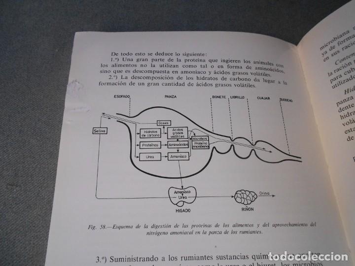 Libros de segunda mano: MANUAL DE NUTRICION Y ALIMENTACION DEL GANADO - Foto 9