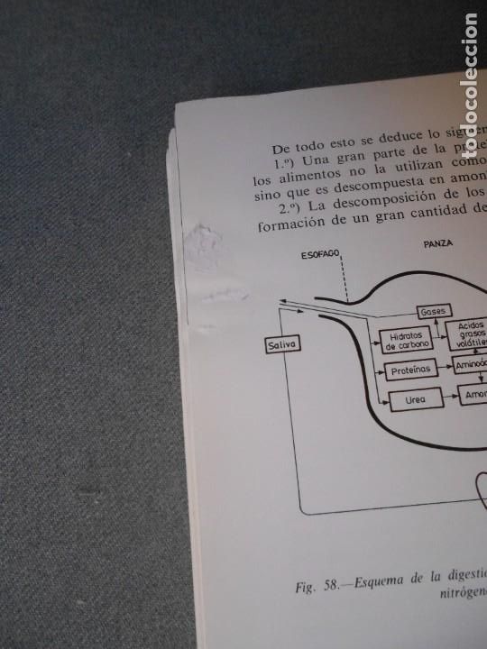 Libros de segunda mano: MANUAL DE NUTRICION Y ALIMENTACION DEL GANADO - Foto 10