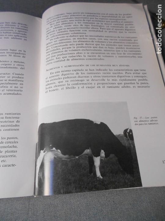 Libros de segunda mano: MANUAL DE NUTRICION Y ALIMENTACION DEL GANADO - Foto 11