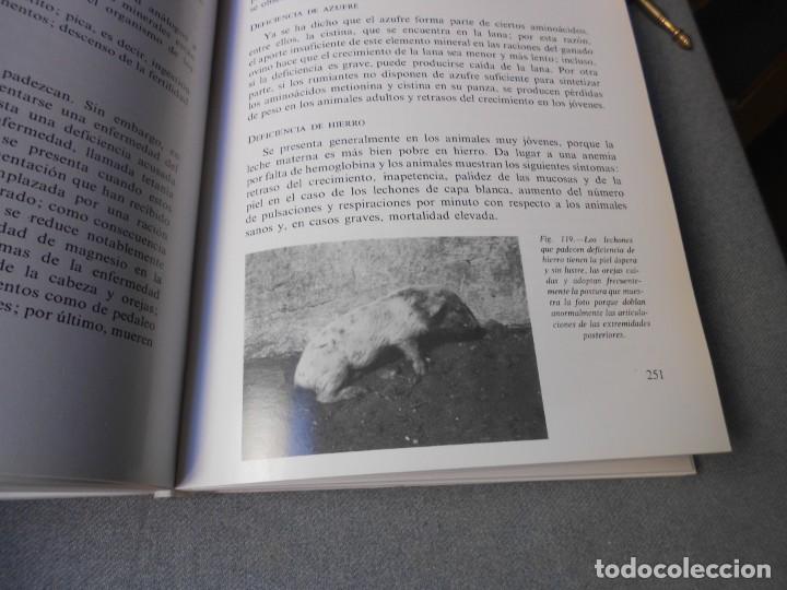 Libros de segunda mano: MANUAL DE NUTRICION Y ALIMENTACION DEL GANADO - Foto 12