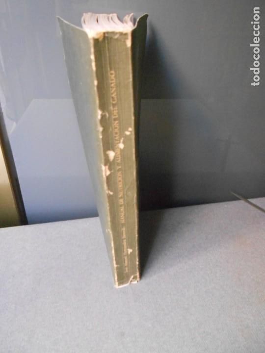 Libros de segunda mano: MANUAL DE NUTRICION Y ALIMENTACION DEL GANADO - Foto 14