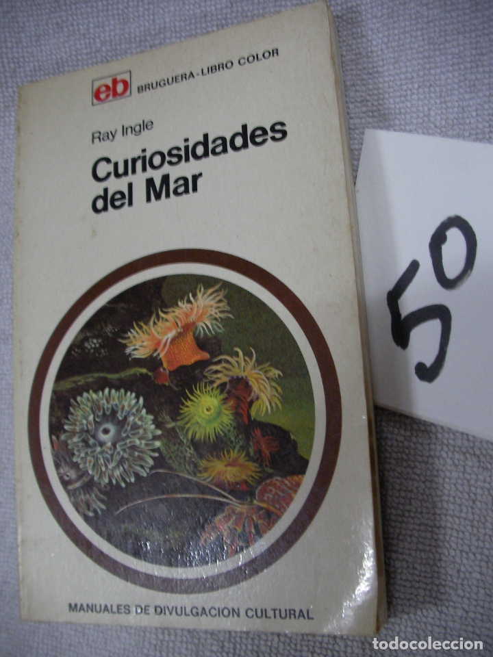 Libros de segunda mano: CURIOSIDADES DEL MAR - Foto 1