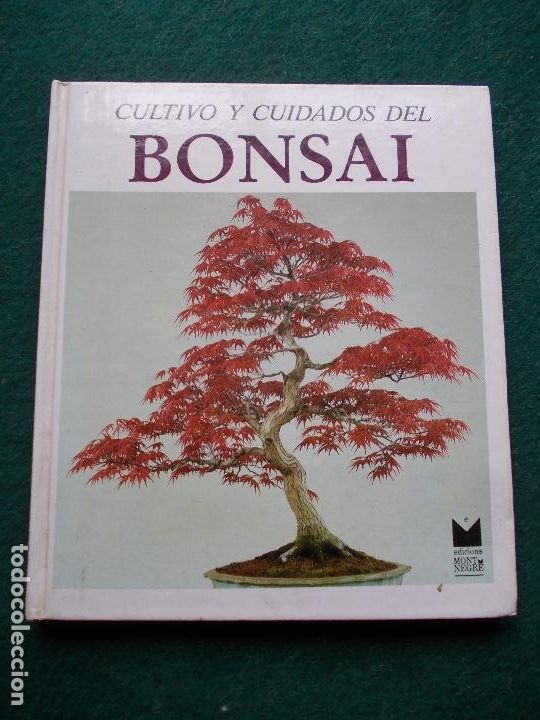 CULTIVO Y CUIDADO DEL BONSAI