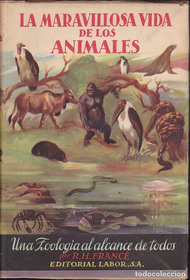 Libros de segunda mano: LIBRO LA MARAVILLOSA VIDA DE LOS ANIMALES EDITORIAL LABOR 1957 - Foto 1