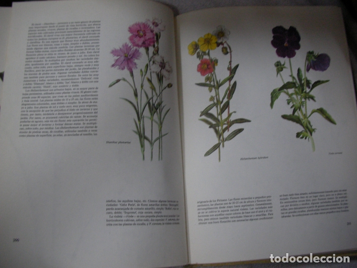 Libros de segunda mano: ANTIGUO LIBRO - PLANTAS MEDICINALES - Foto 2
