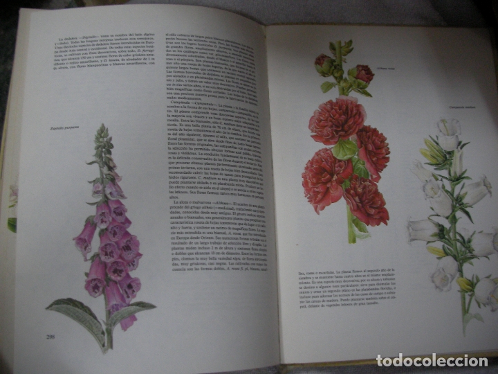 Libros de segunda mano: ANTIGUO LIBRO - PLANTAS MEDICINALES - Foto 3