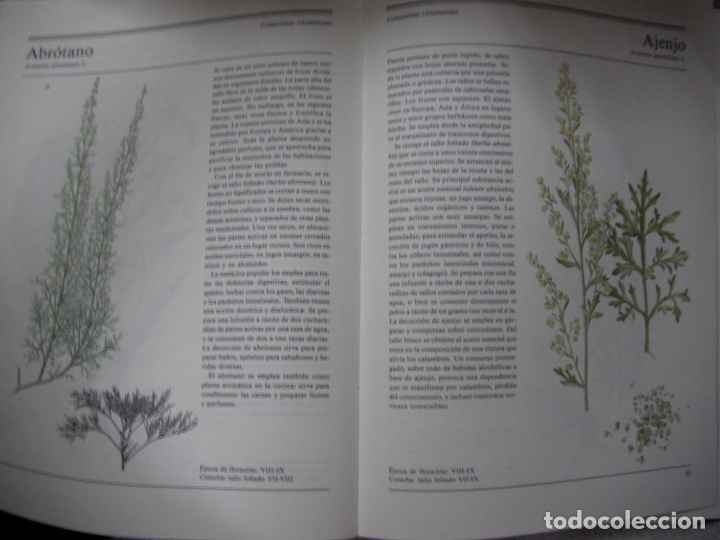 Libros de segunda mano: ANTIGUO LIBRO - PLANTAS MEDICINALES - Foto 5
