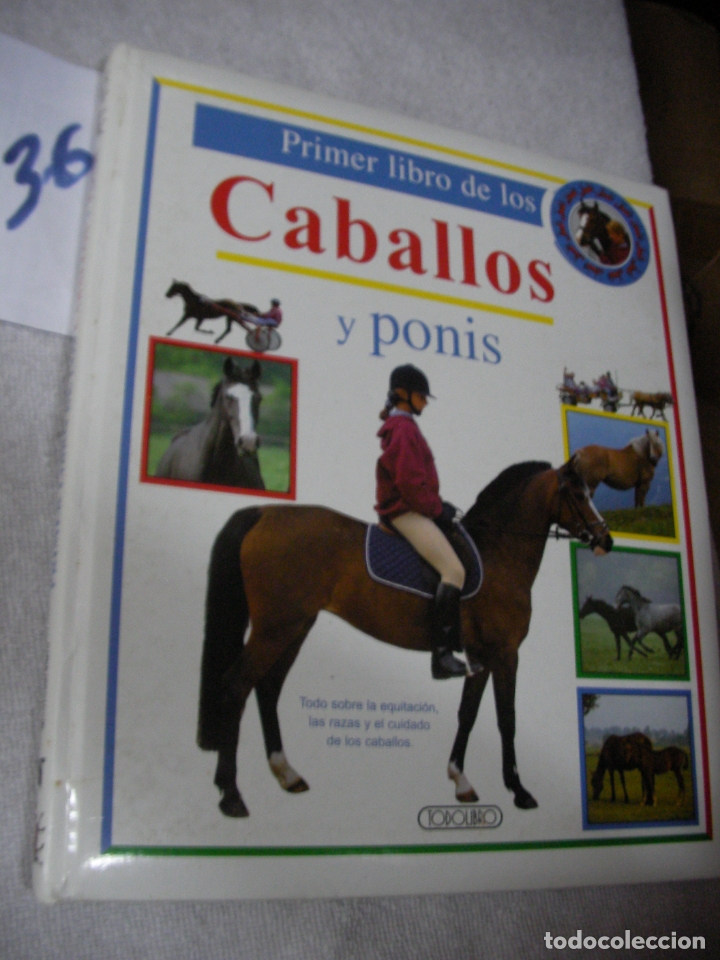 Libros de segunda mano: CABALLOS Y PONIS - Foto 1