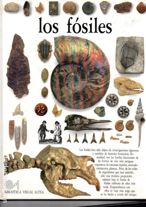 Libros de segunda mano: LOS F&Oacute;SILES (BIBLIOTECA VISUAL ALTEA, 1990) - Foto 1