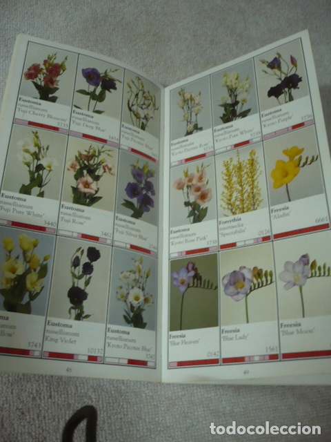 Libros de segunda mano: CATALOGO DE PLANTAS Y FLORES - Foto 2