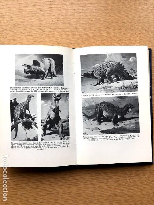 Libros de segunda mano: El ocaso de los dinosaurios / Alejandro Vignati / - Foto 5