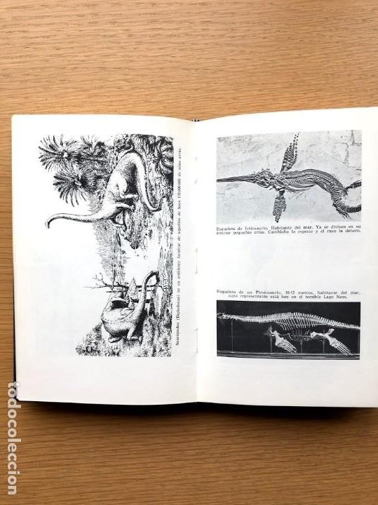 Libros de segunda mano: El ocaso de los dinosaurios / Alejandro Vignati / - Foto 6