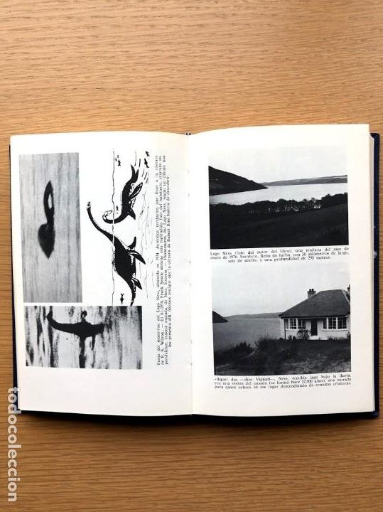 Libros de segunda mano: El ocaso de los dinosaurios / Alejandro Vignati / - Foto 7