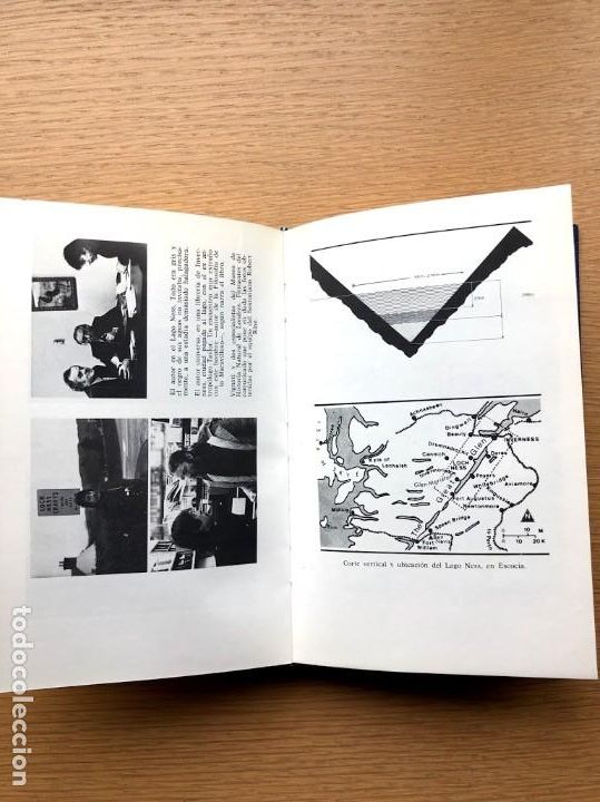 Libros de segunda mano: El ocaso de los dinosaurios / Alejandro Vignati / - Foto 8