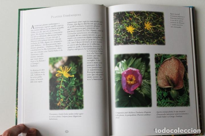 Libros de segunda mano: Miguel Cao - Les flors de Menorca - GOB Menorca - Foto 6