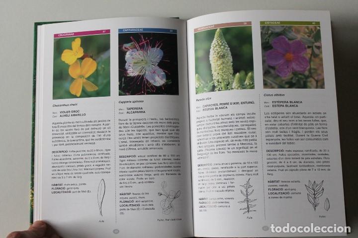Libros de segunda mano: Miguel Cao - Les flors de Menorca - GOB Menorca - Foto 7