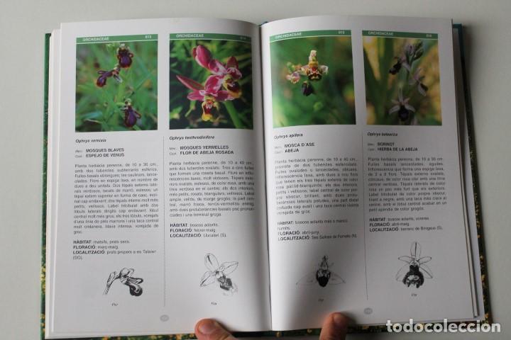 Libros de segunda mano: Miguel Cao - Les flors de Menorca - GOB Menorca - Foto 8
