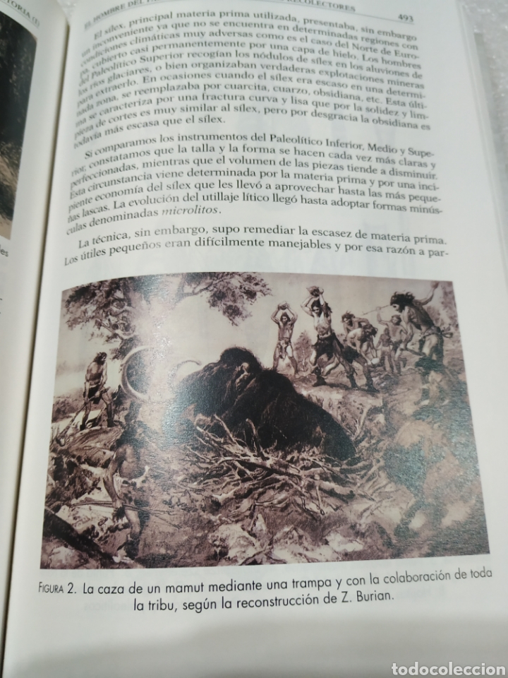 Libros de segunda mano: PREHISTORIA. UNED. 2 tomos. Nuevos - Foto 6