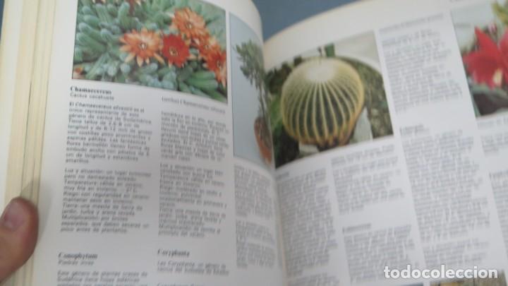 Libros de segunda mano: FLORES Y PLANTAS EN CASA. CYNTHIA WICKHAM - Foto 2