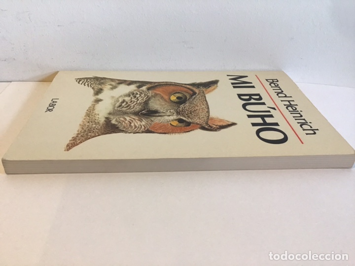Libros de segunda mano: MI B&Uacute;HO / BERND HEINRICH / LABOR - Foto 5