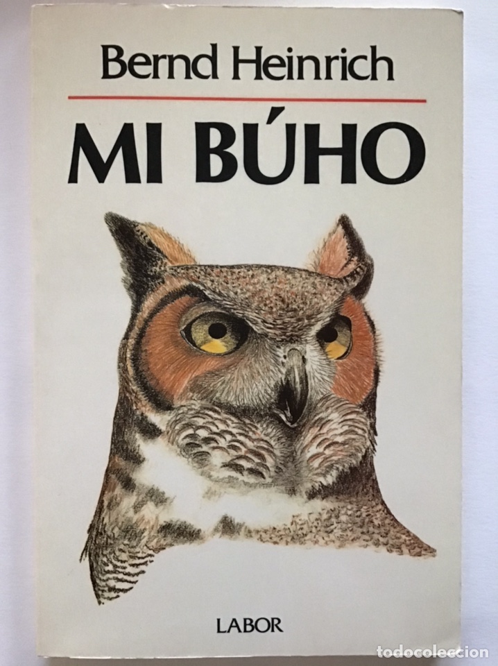 Libros de segunda mano: MI B&Uacute;HO / BERND HEINRICH / LABOR - Foto 1