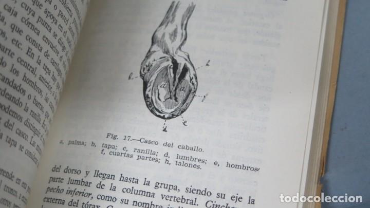 Libros de segunda mano: ANIMALES AGRICOLAS. SALAZAR - Foto 3