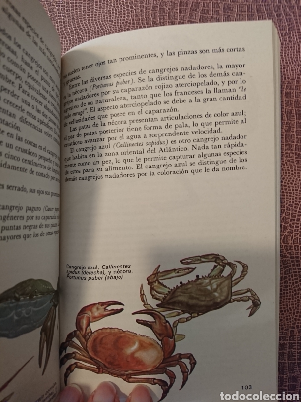 Libros de segunda mano: El mar y sus habitantes - Foto 3