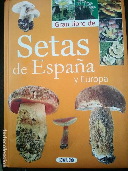 Libros de segunda mano: SETAS DE ESPA&Ntilde;A Y EUROPA. EDICIONES SERVILIBRO. - Foto 1
